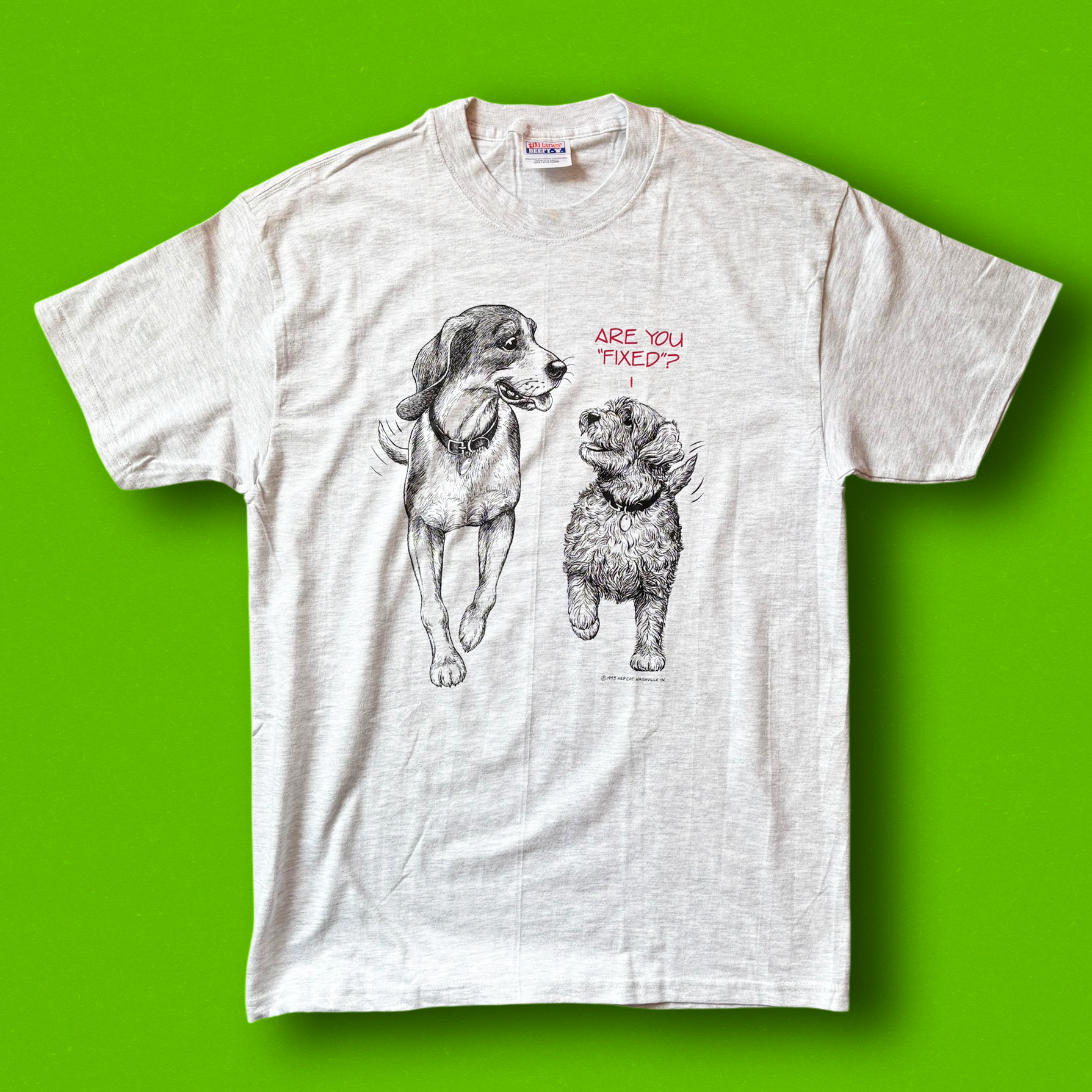 A graphic t-shirt with illustrations of two dogs and the text 'Are You Fixed?' on a green background.