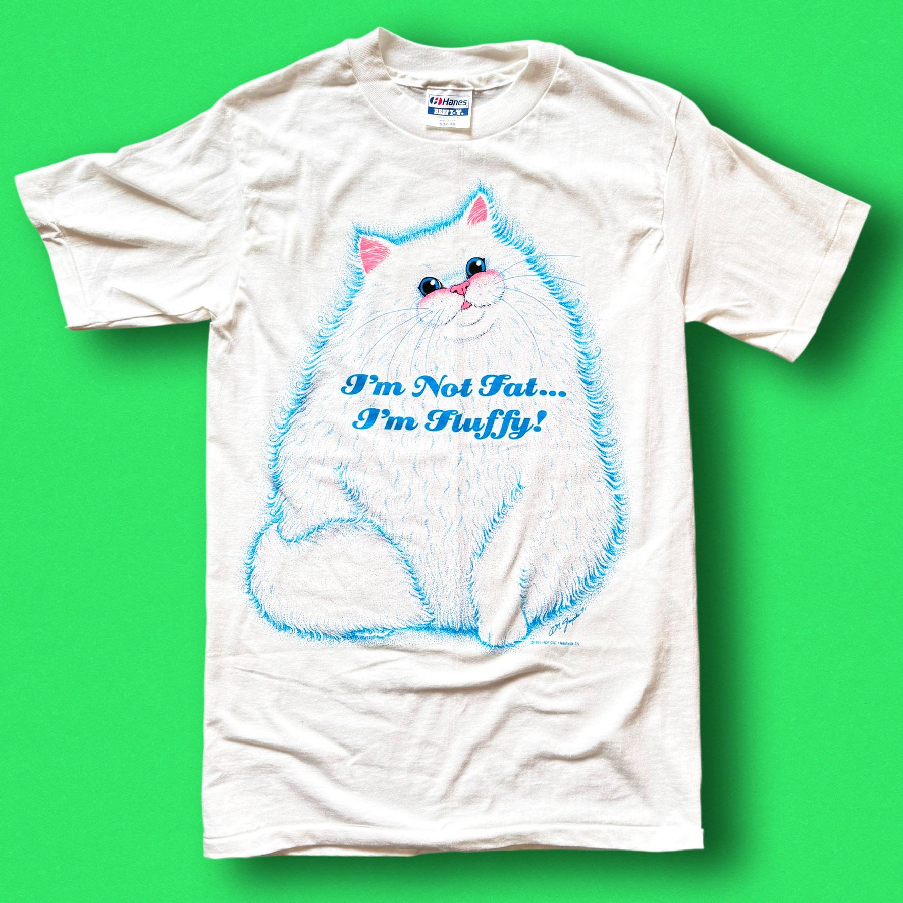 A white t-shirt with a graphic of a fluffy cat and the text 'I'm Not Fat... I'm Fluffy!' written in blue.
