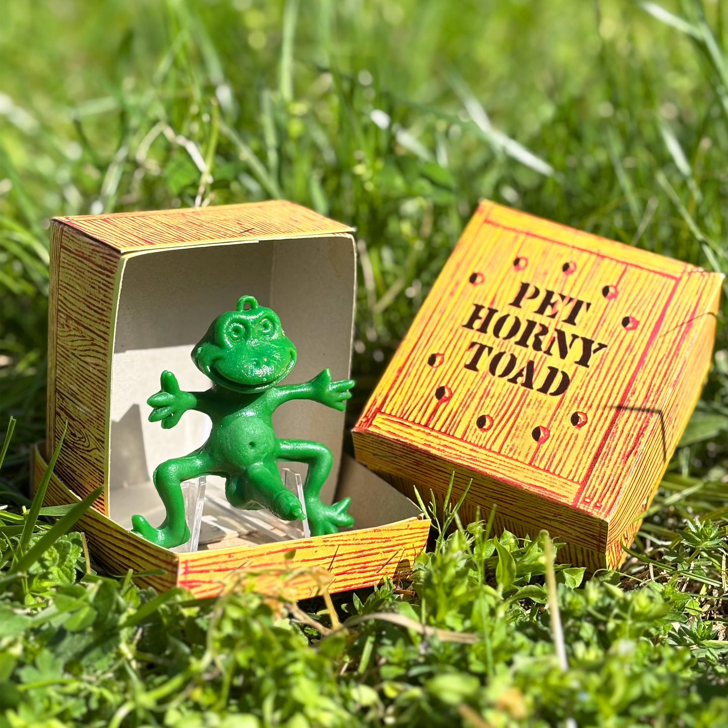 Pet Horny Toad & Horny Hillbilly