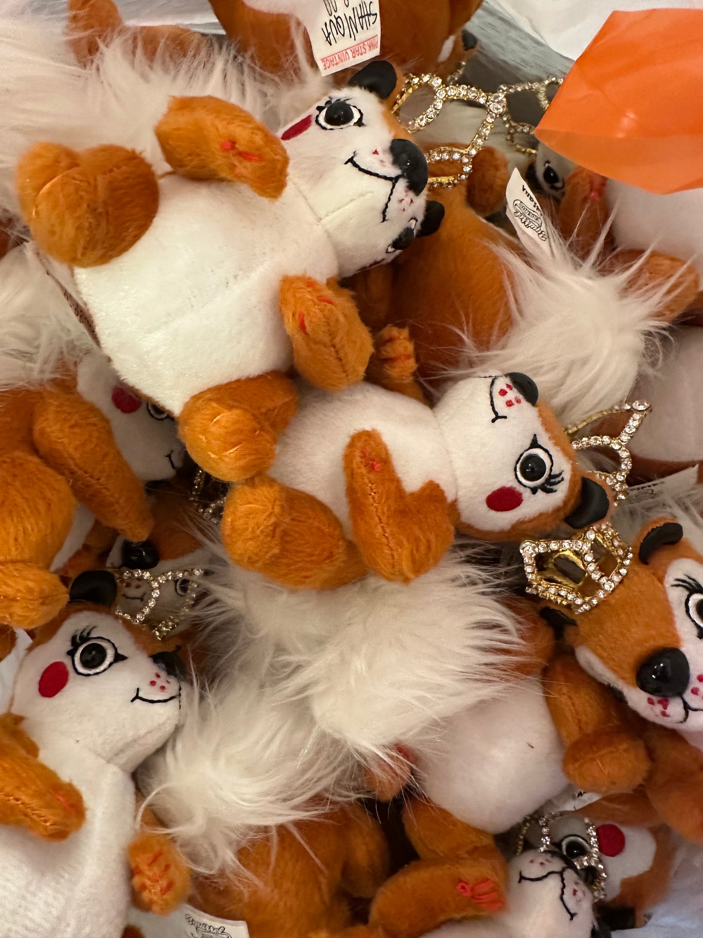 Shaniqua (Lot of 50)