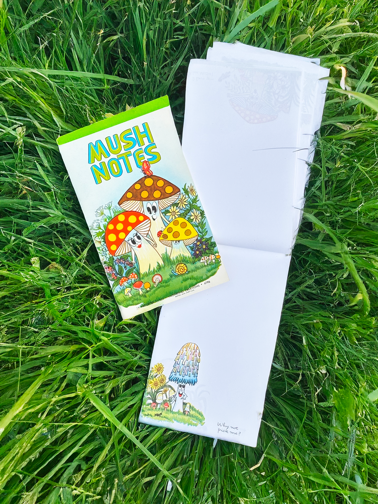Mush Notes Vintage Illustrated Notepad