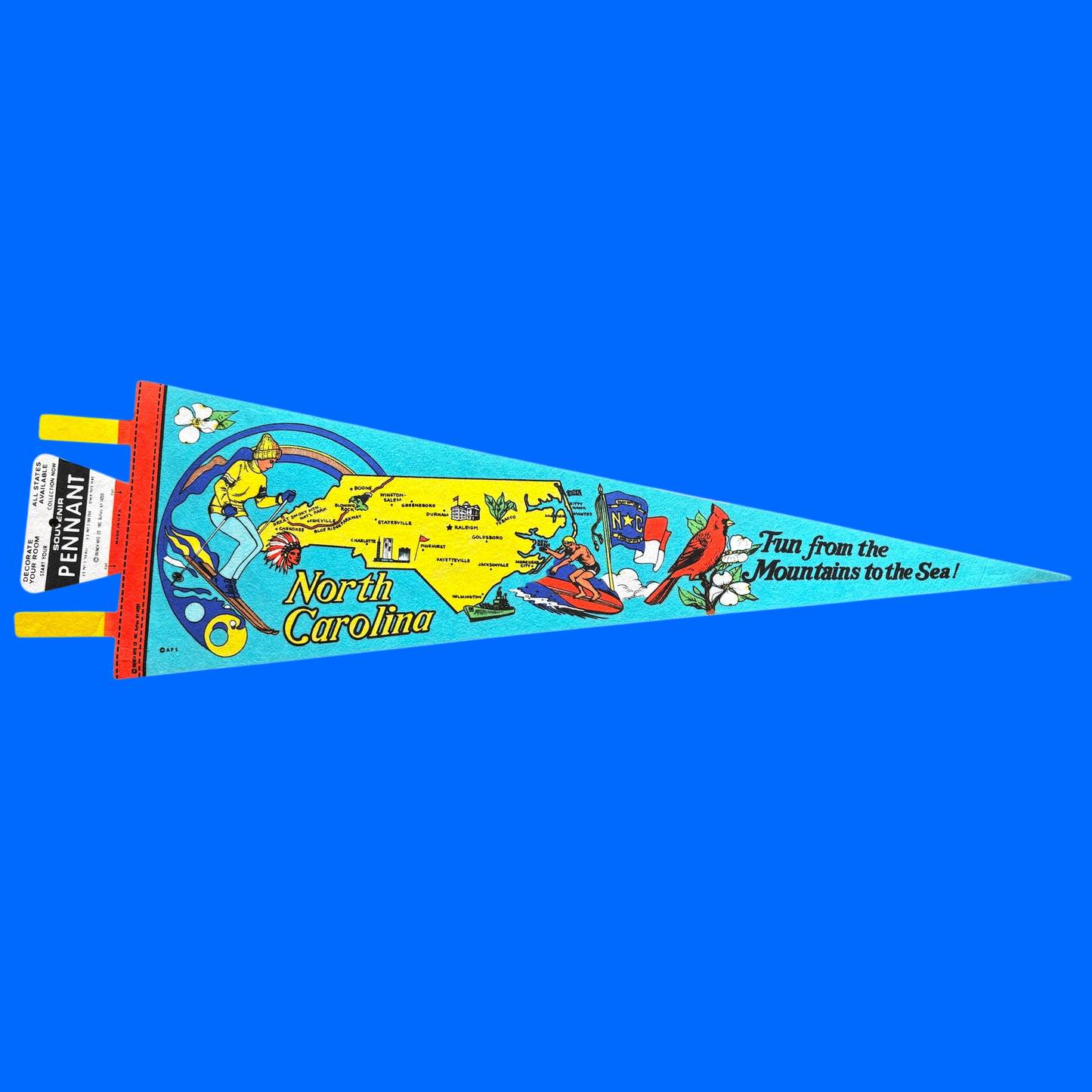 Large Souvenir State Pennant