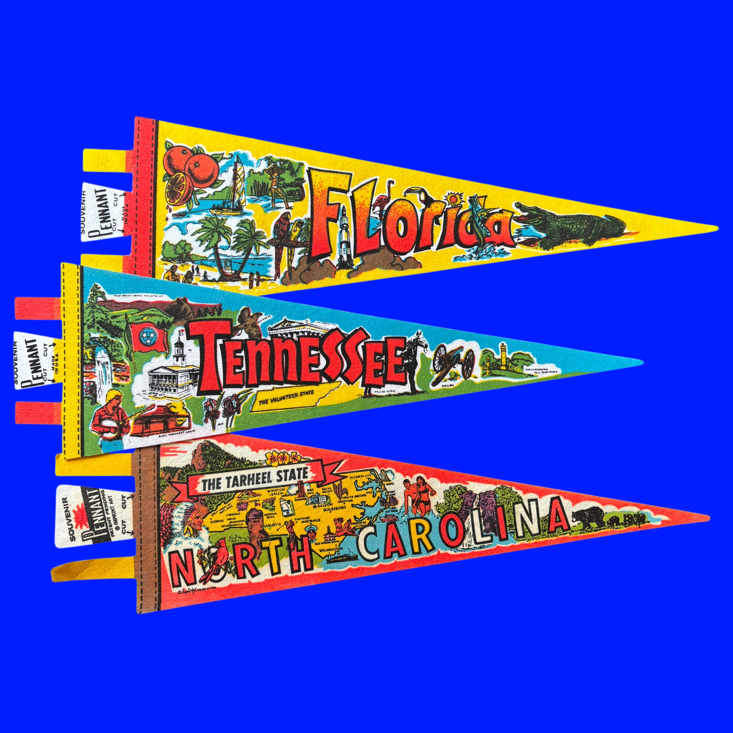 Vintage Souvenir State Pennant