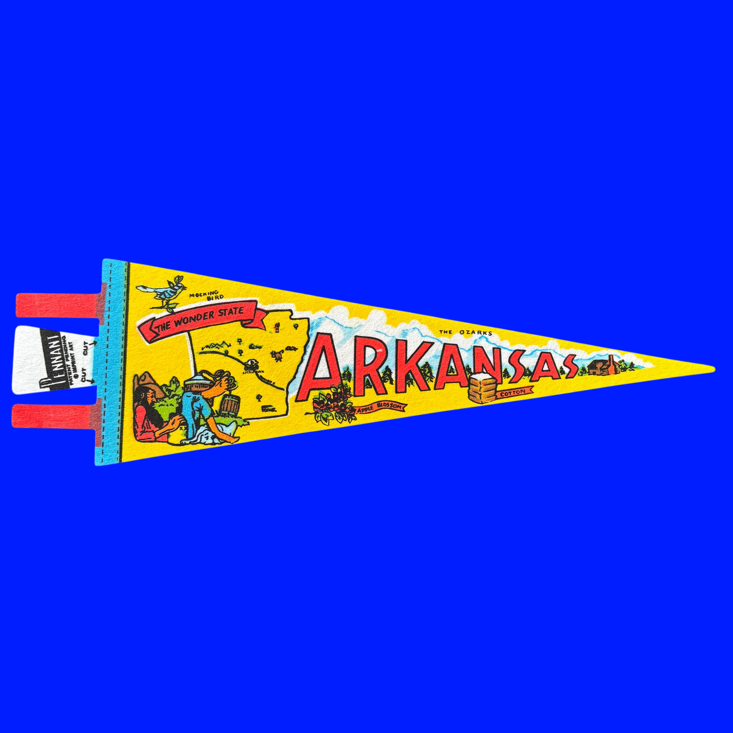 Vintage Souvenir State Pennant