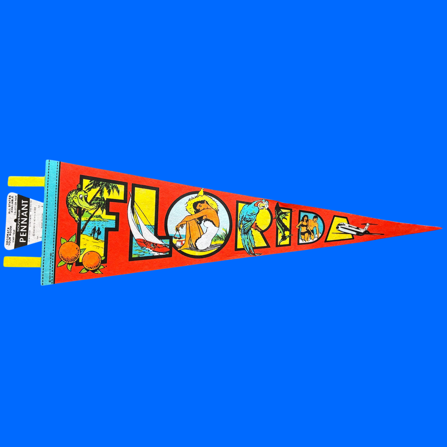Large Souvenir State Pennant