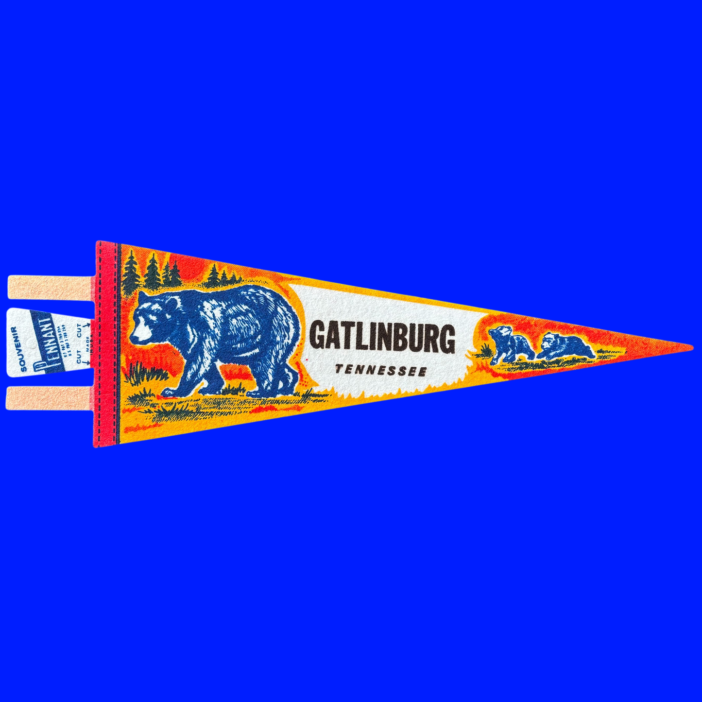 Vintage Souvenir State Pennant