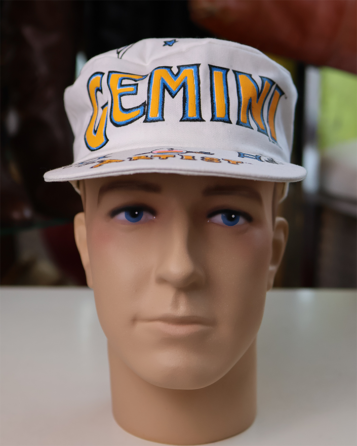 Vintage Gemini Painters Cap