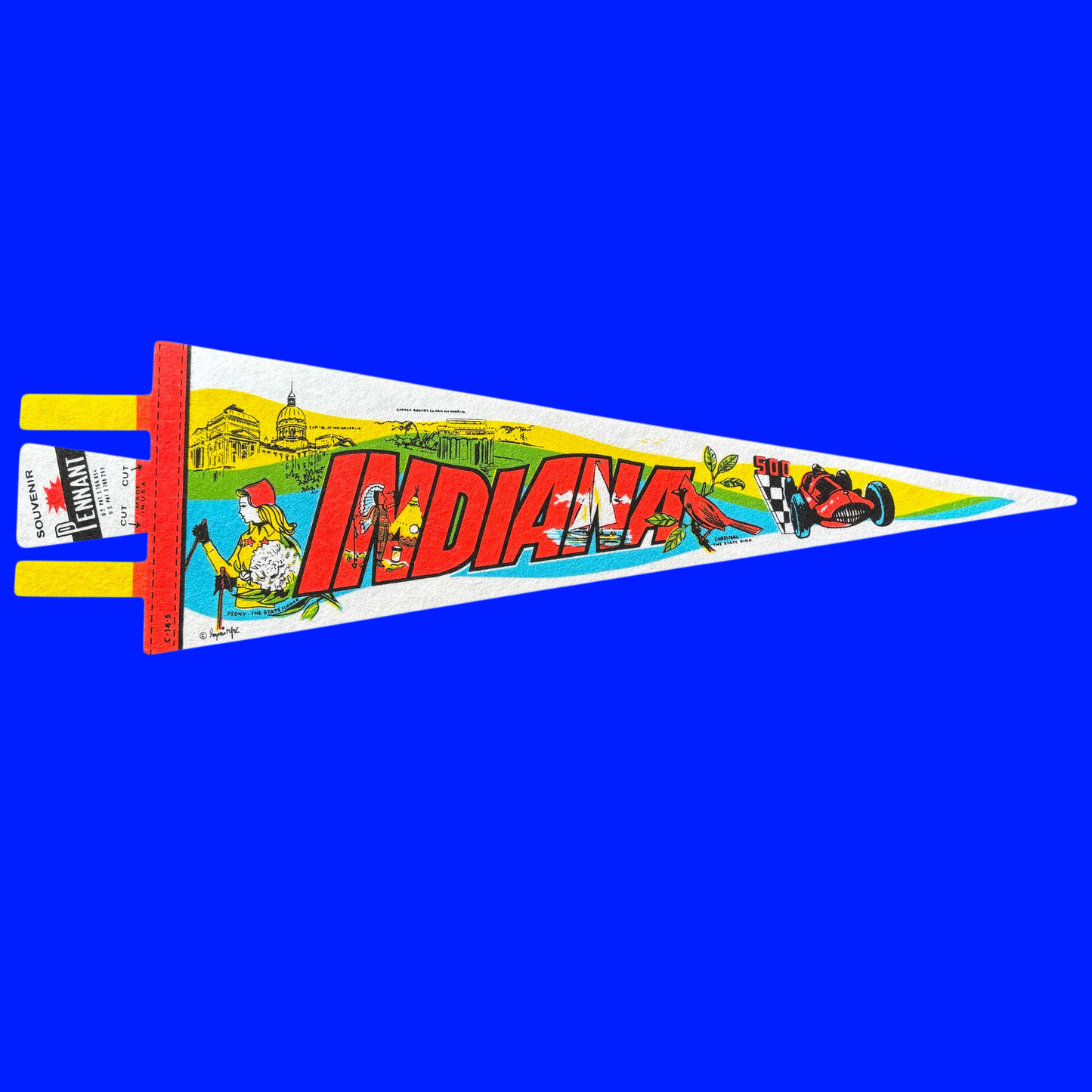 Vintage Souvenir State Pennant