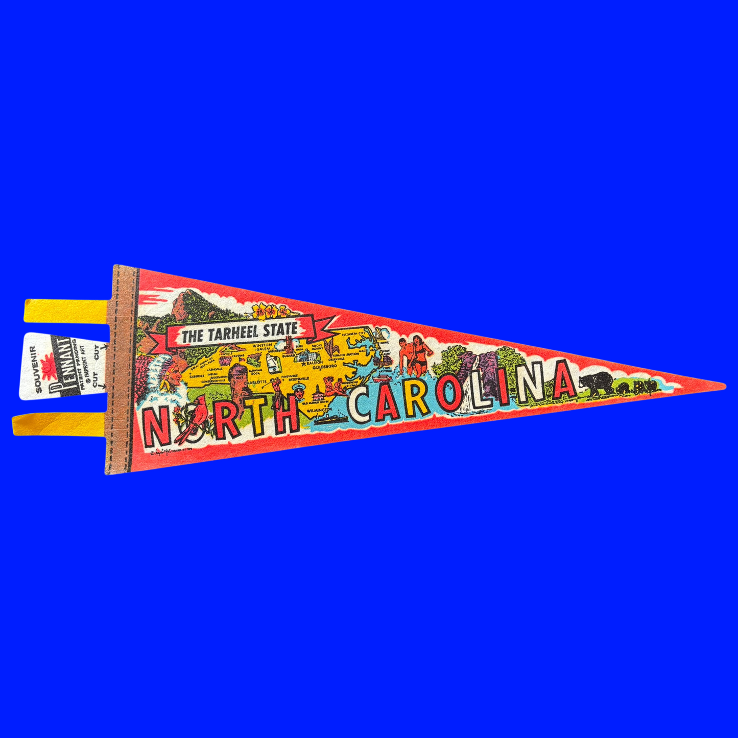 Vintage Souvenir State Pennant