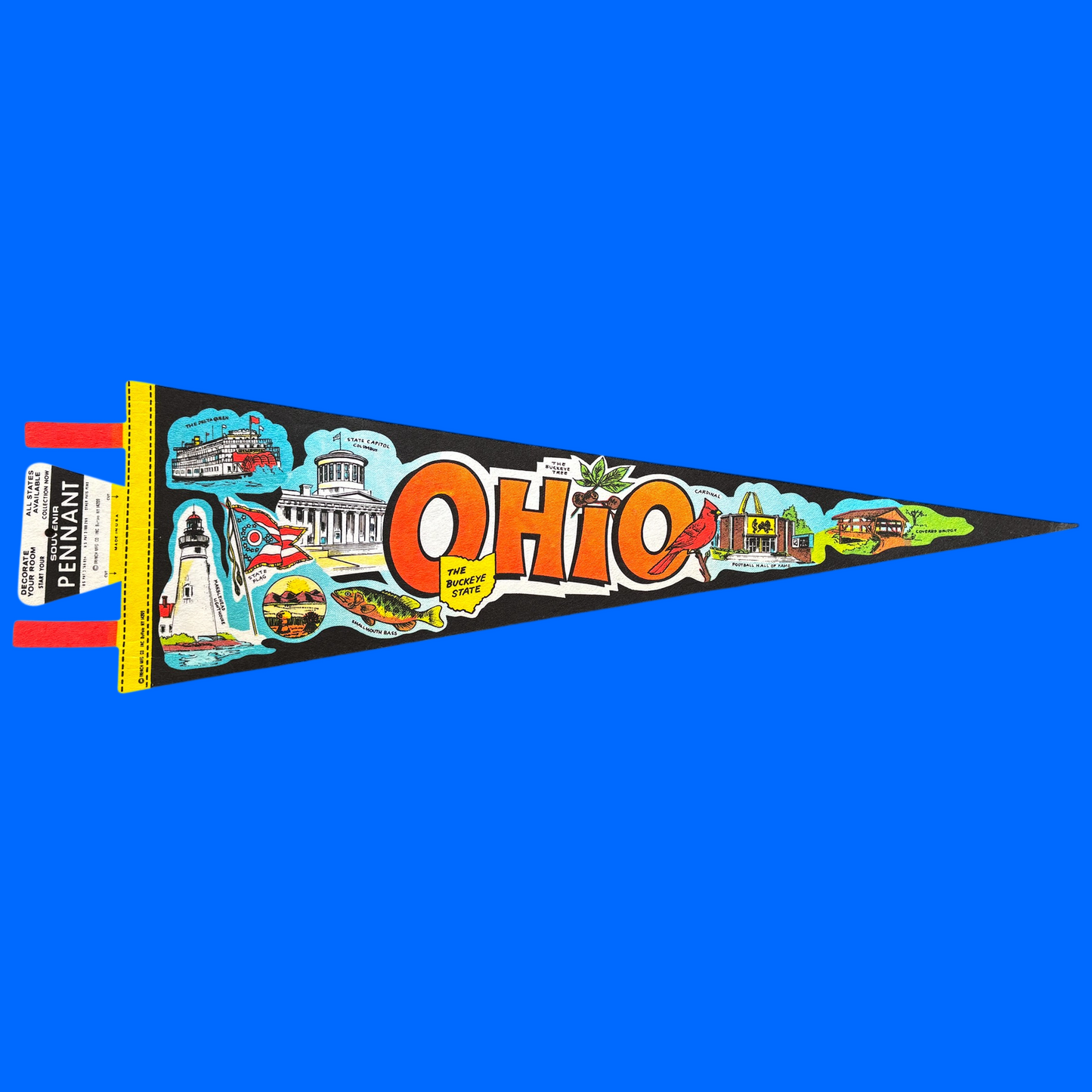 Large Souvenir State Pennant