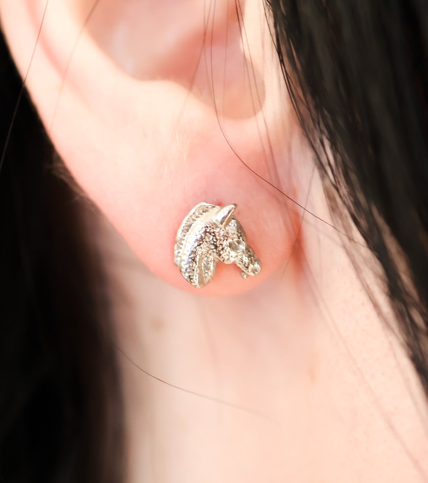 Vintage Western Silver Tone Stud Earrings