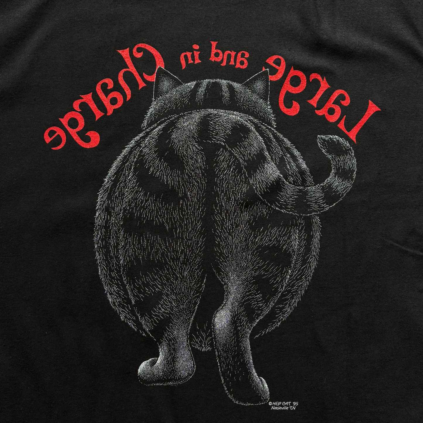 large and in charge backwards with cat butt hep cat