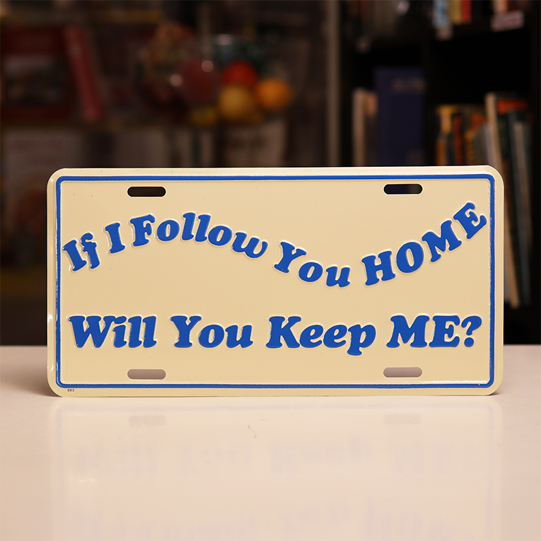 "If I Follow You Home, Will You Keep Me?" Novelty License Plate