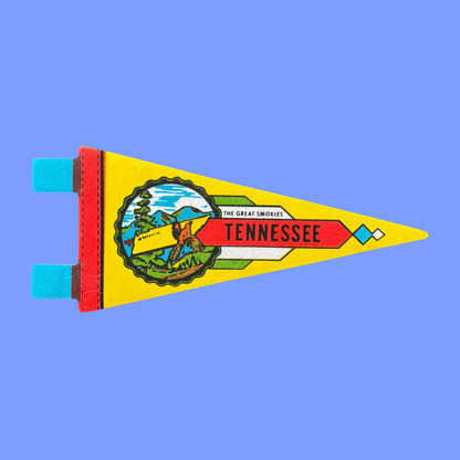 Vintage Mini Souvenir Pennant