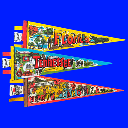 Vintage Souvenir State Pennant