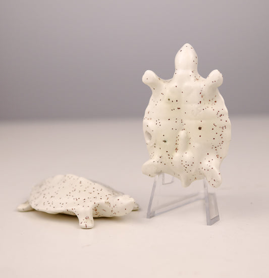 Vintage "There is a Difference" Naughty Turtle Figures & Ashtray