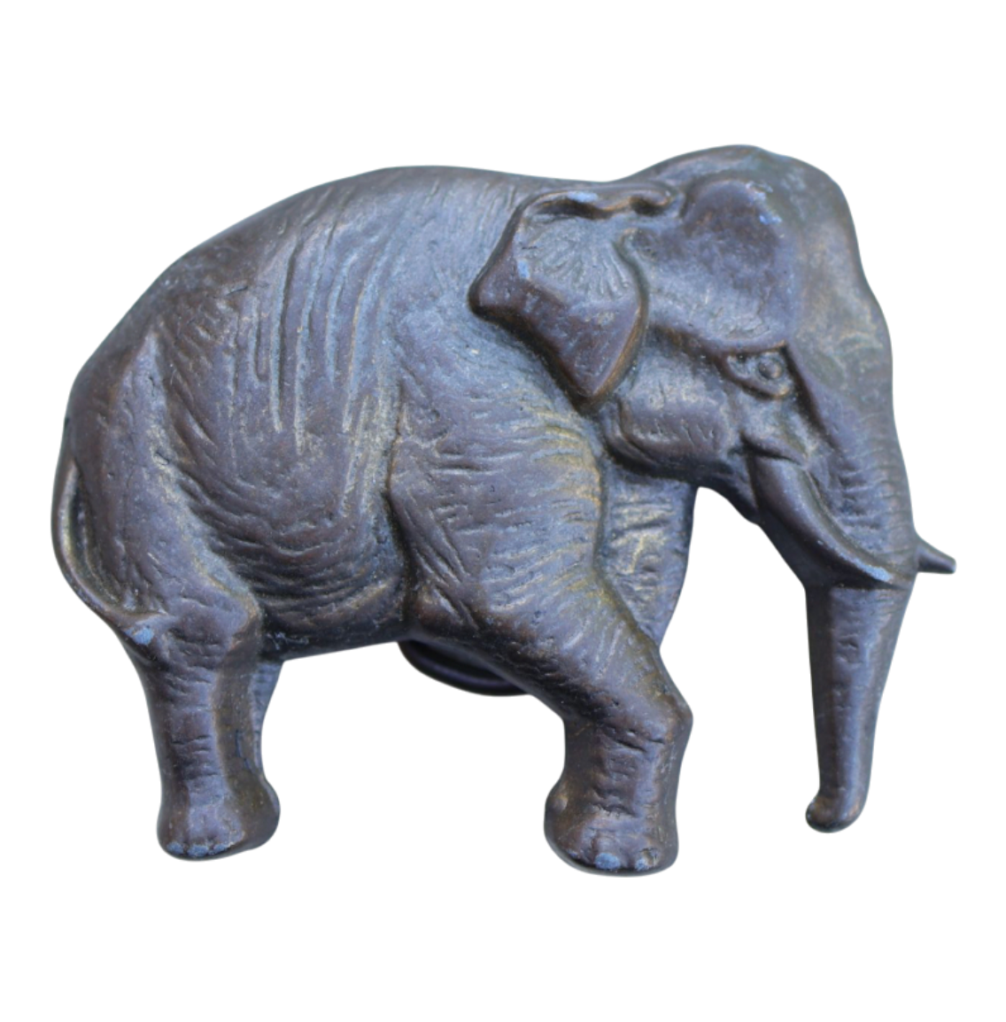 brass elephant belt buckle