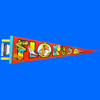 Large Souvenir State Pennant
