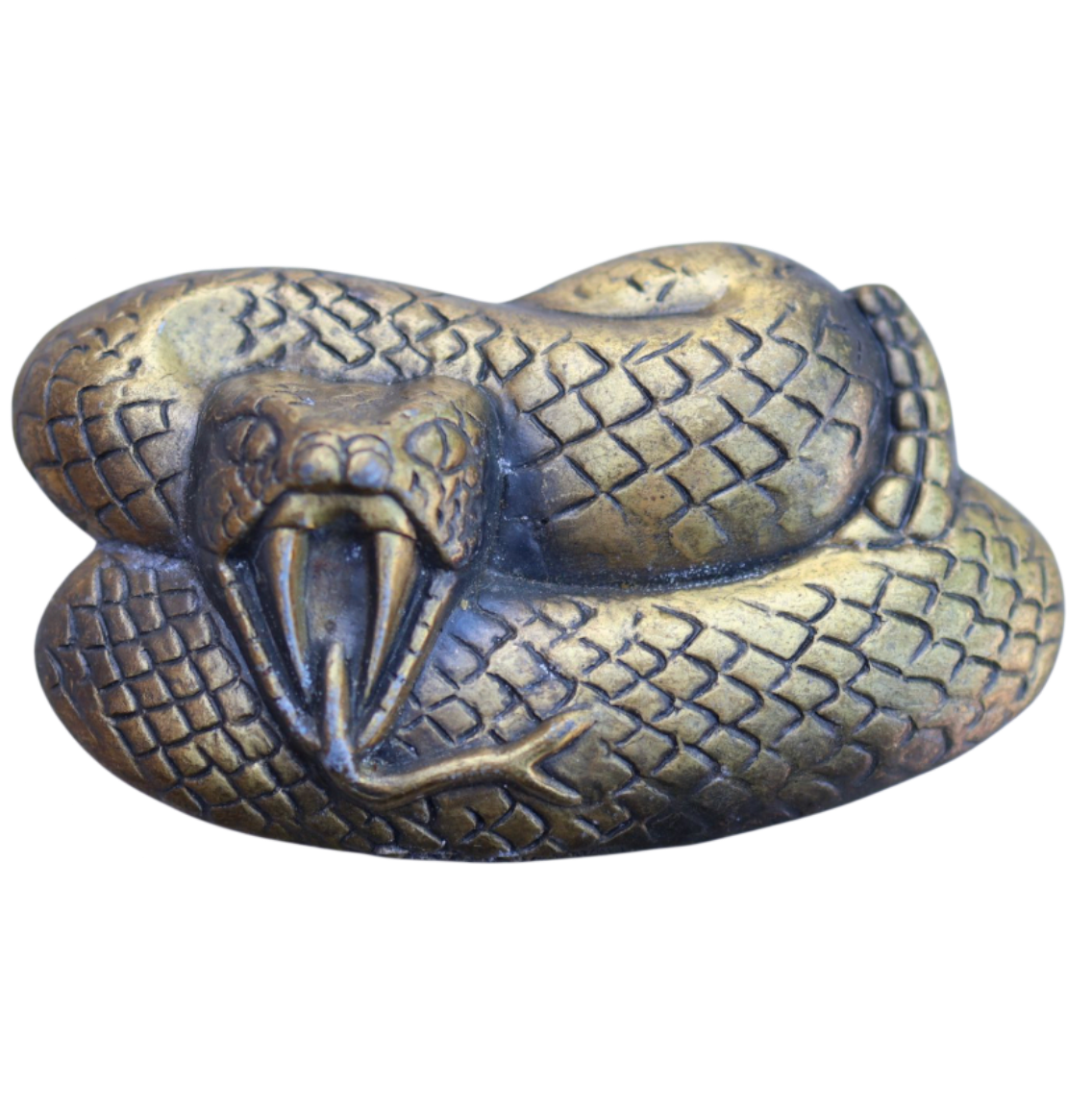 vintage rattlesnake belt buckle