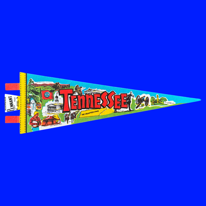 Vintage Souvenir State Pennant