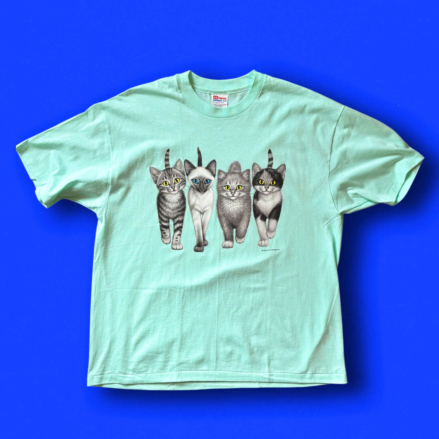 A aqua t-shirt featuring a graphic print of four cats in a row on the front.